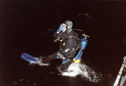 AAAARRRGGGGHH SHARK. Ever seen a diver run on water. by Steven Gibney 